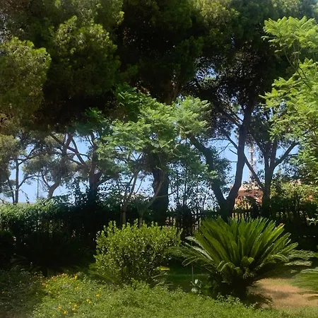 Madreperla *