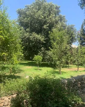 Madreperla 3* Gallipolli